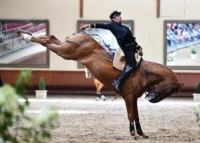 Le Belvedere De Loire فندق مبيت وإفطار Treves-Cunault