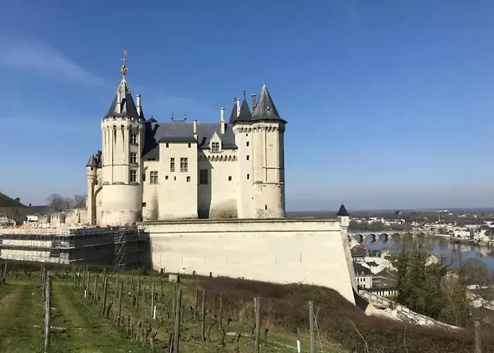 فندق مبيت وإفطار Le Belvedere De Loire Treves-Cunault