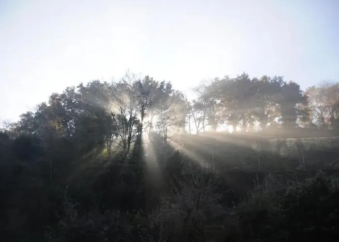 Le Belvedere De Loire 3*